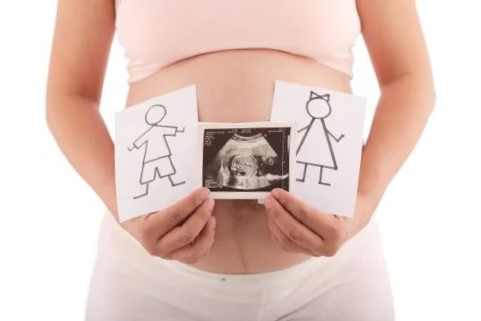decidir el sexo de su bebé - eco