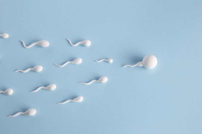 Elegir donante de semen - espermatozoides