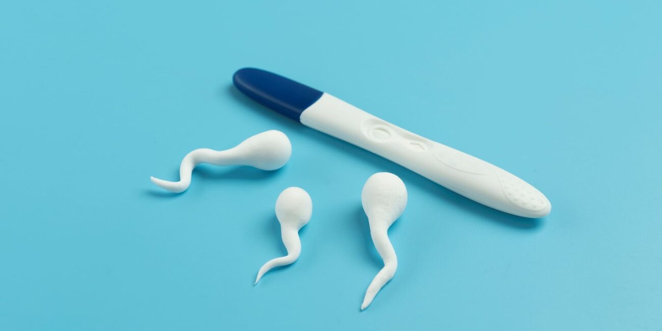 Elegir donante de semen - prueba de embarazo