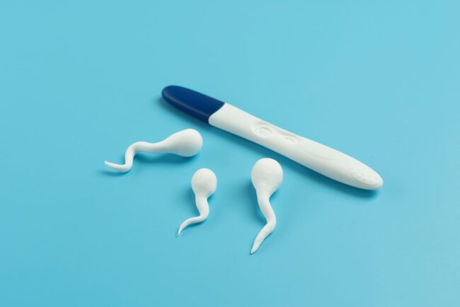 Elegir donante de semen - prueba de embarazo