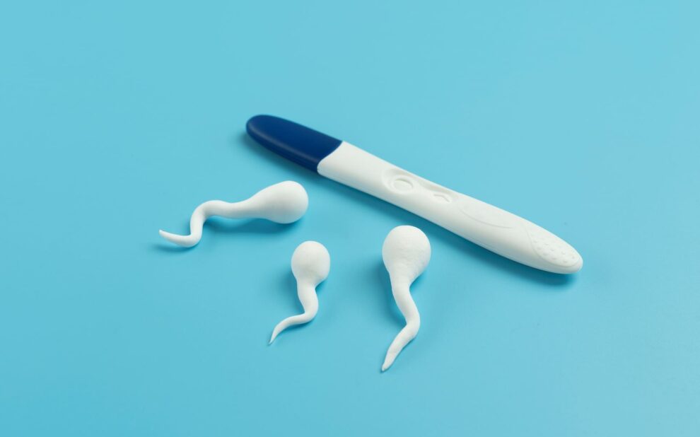 Elegir donante de semen - prueba de embarazo