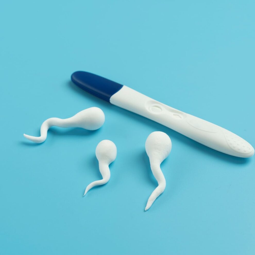 Elegir donante de semen - prueba de embarazo