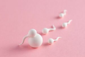 elegir donante de óvulos - fecundacion