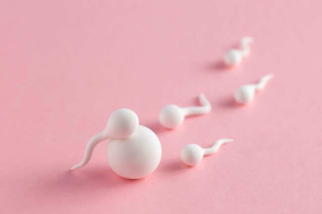 elegir donante de óvulos - fecundacion