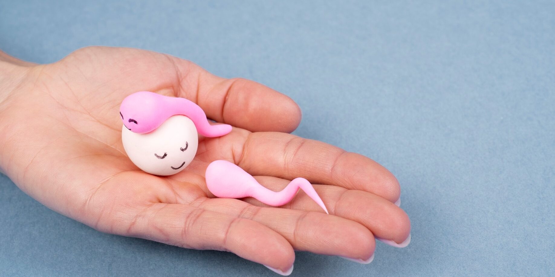 elegir donante de óvulos – ovulo elegir donante de óvulos - ovulo