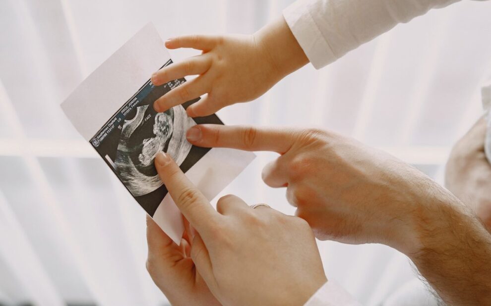 surrogacy in argentina – surrogacy argentina surrogacy in argentina - surrogacy argentina