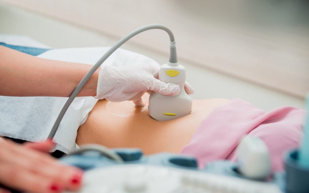 IVF con semen de donante no anónimo - eco