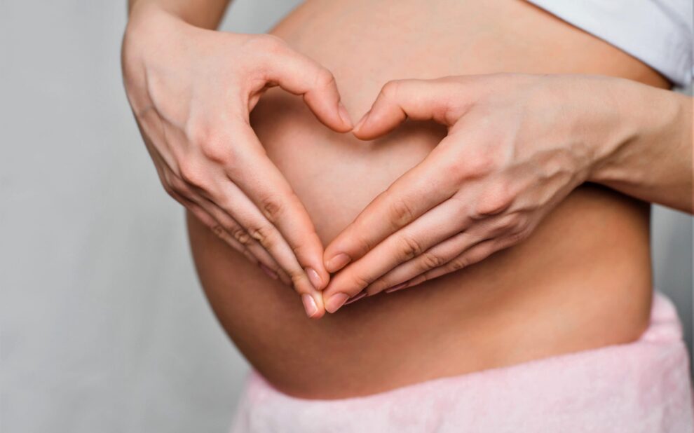 surrogacy in the us – heart pregnant surrogacy in the us - heart pregnant