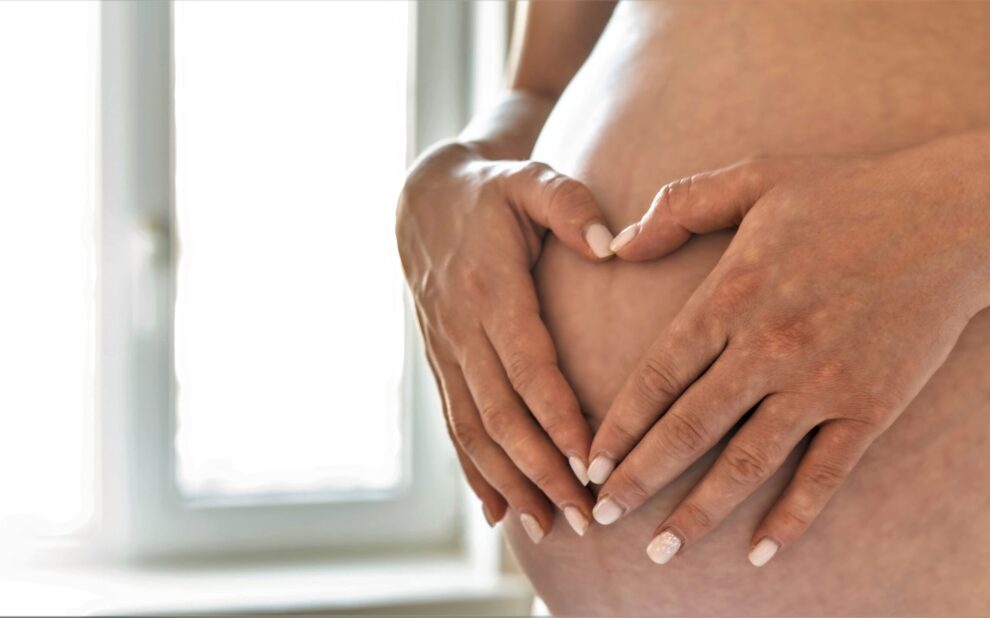 gestational surrogacy in argentina – heart gestational surrogacy in argentina - heart