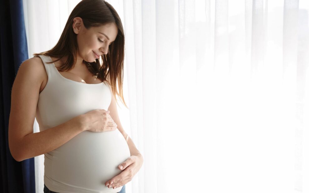 surrogate mother in mexico – surrogacy surrogate mother in mexico - surrogacy