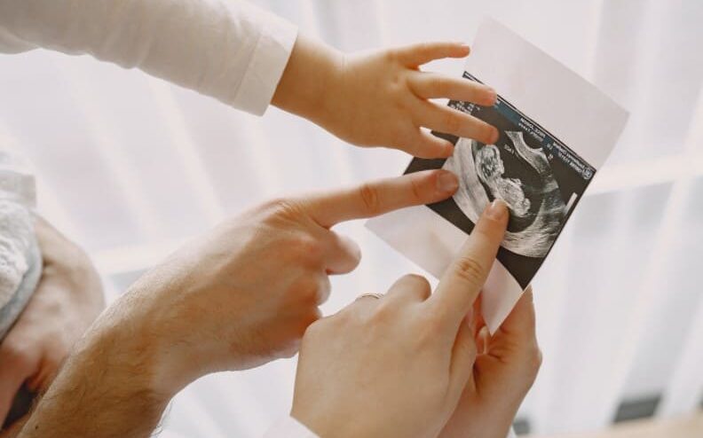 Selección del donante de semen en Portugal - Ecografía