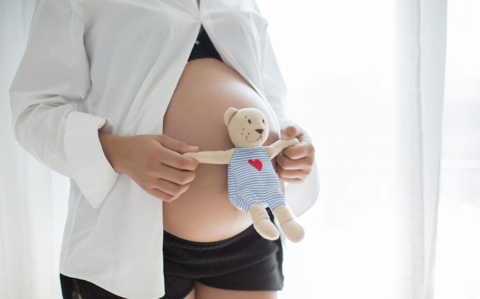 cost of surrogacy in argentina – bear with child