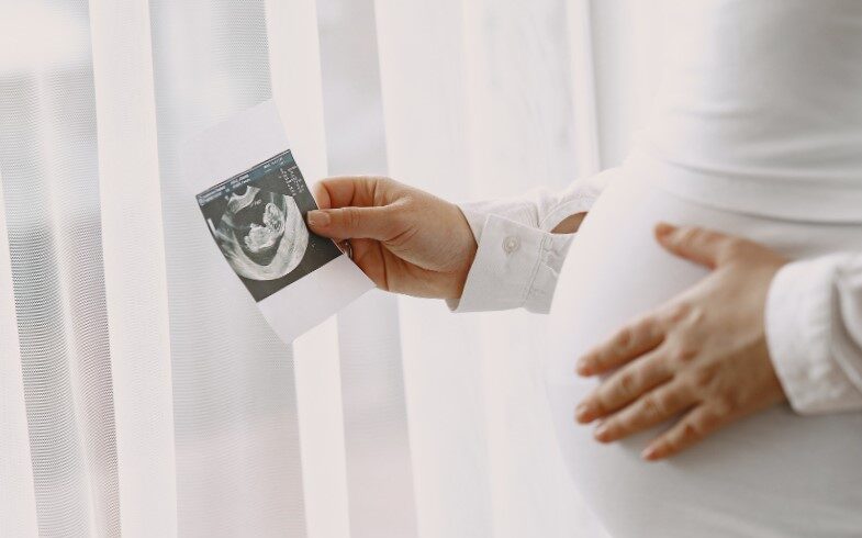 elegir donante de semen -ecografía