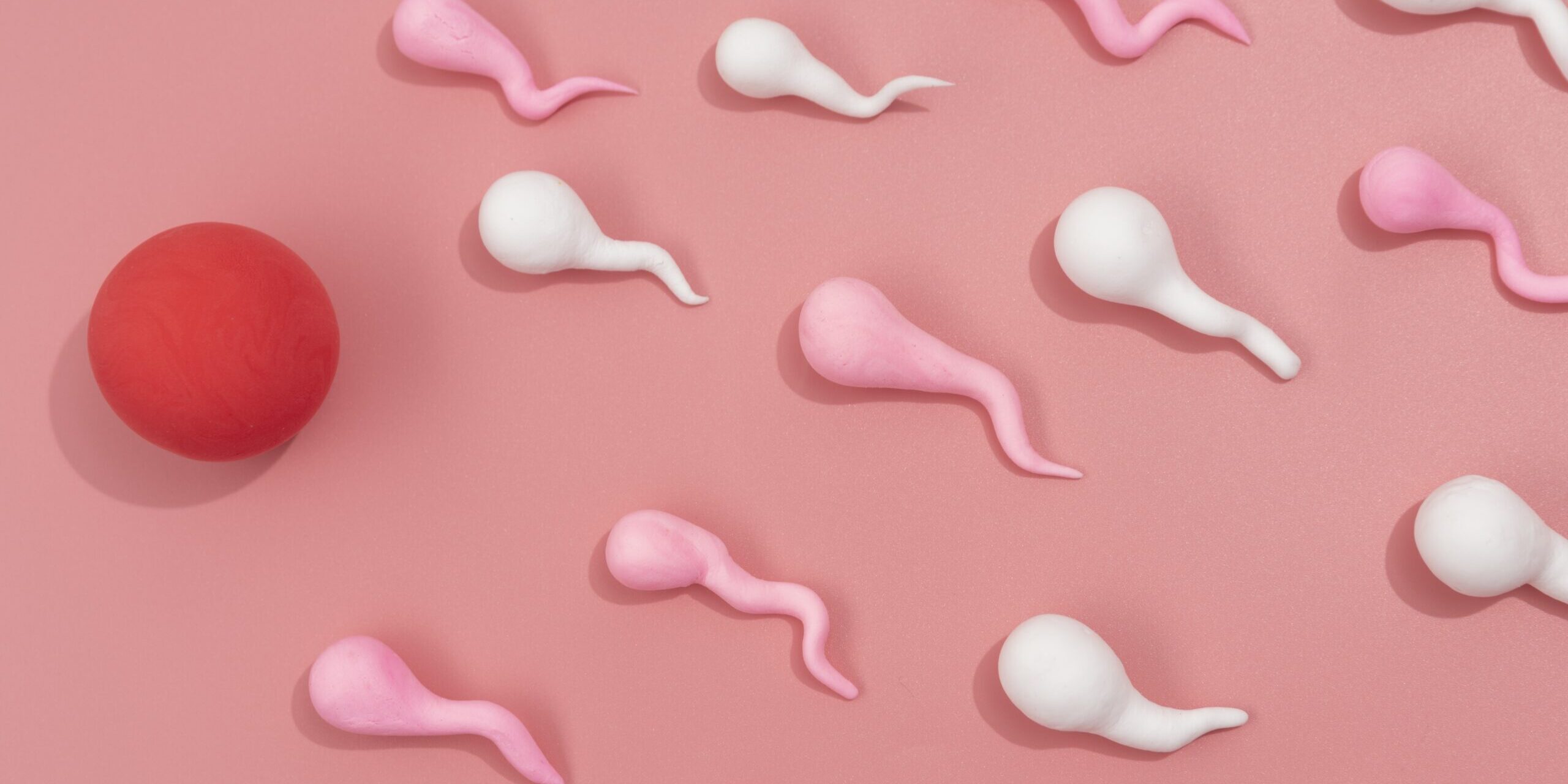 Elegir donante de óvulos en Chipre-ovulos