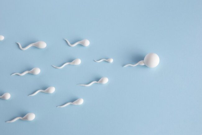 Elegir donante de semen-esperma