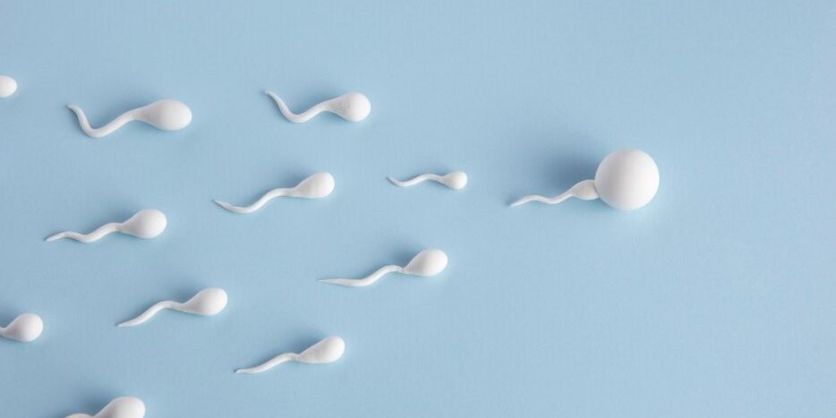 Elegir donante de semen-esperma