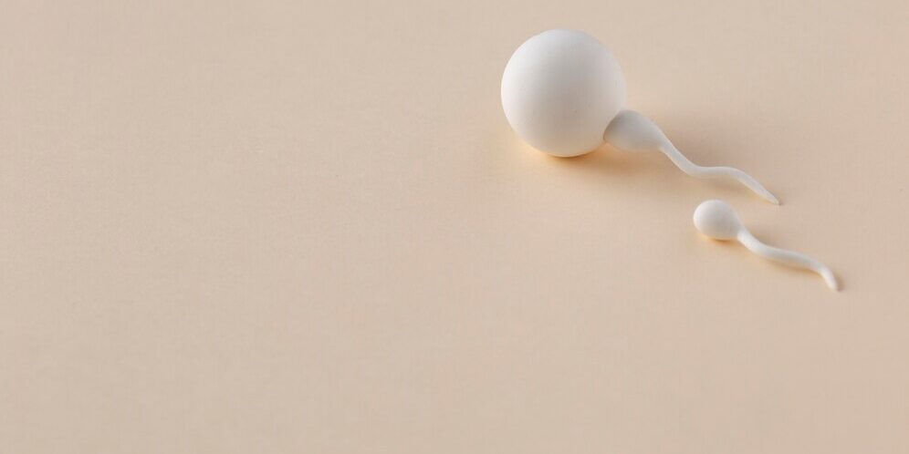 elegir donante de semen-esperma