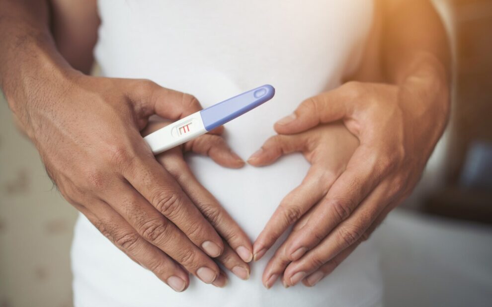 elegir donante de óvulos-barriga