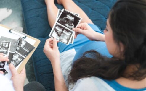 Elegir donante de óvulos - Eco