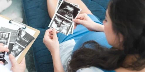 Elegir donante de óvulos - Eco