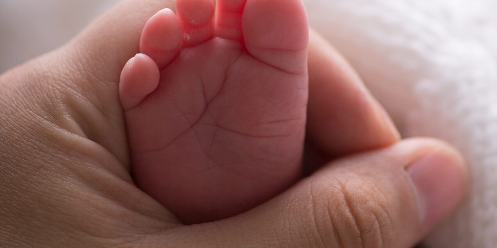 surrogacy in mexico - newborn