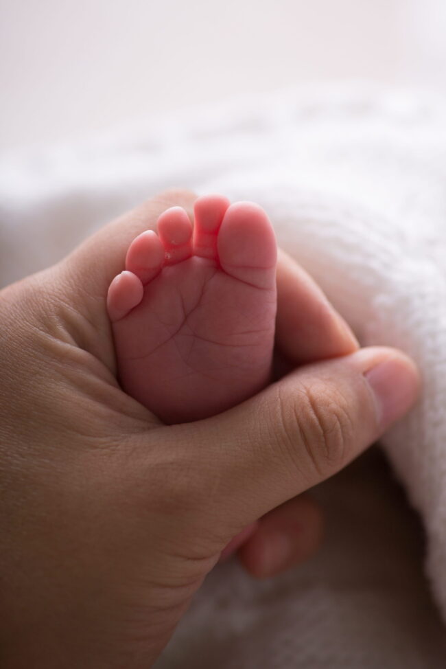surrogacy in mexico - newborn